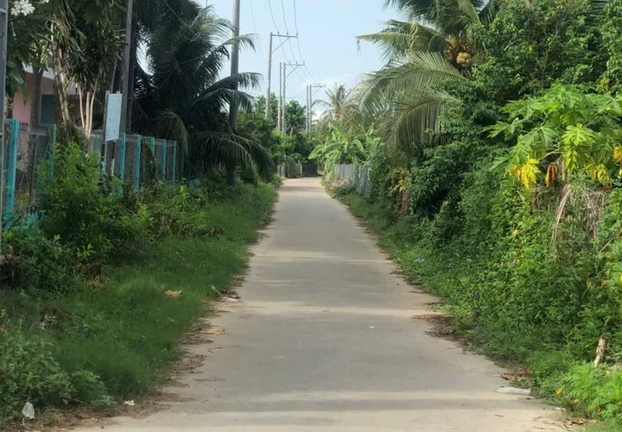 Bán Đất 1493.5m2 giá 2 tỷ tại - Chọn - Xã Hòa Nghĩa Huyện Chợ Lách Bến Tre