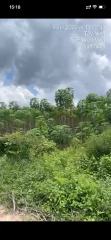 Bán Đất 5000m2 giá 450 triệu tại - Chọn - Xã Phước Vinh Huyện Châu Thành Tây Ninh