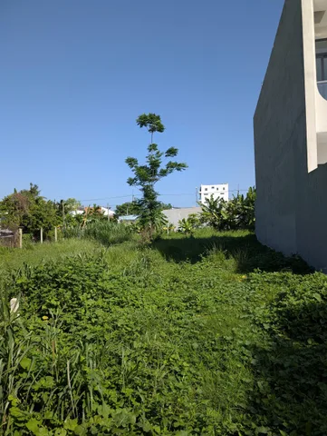 🔥Bán Đất 110m2 có sẵn 110 m2 thổ cư giá 580 triệu tại Đường số 16 Xã Tân Thông Hội Huyện Củ Chi TP. Hồ Chí Minh🔥
