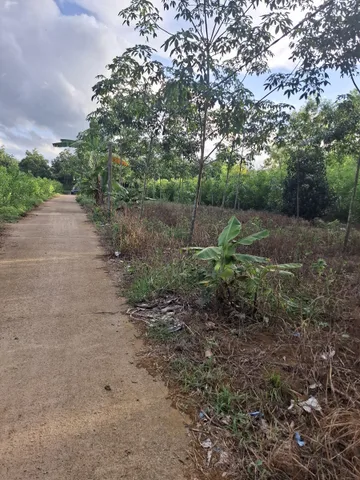 Bán Đất 2000m2 có sẵn 200 m2 thổ cư giá 799 triệu tại - Chọn - - Chọn - Xã Sông Hinh Đắk Lắk
