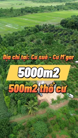 Bán Đất 5000m2 có sẵn 500 m2 thổ cư giá 2.5 tỷ tại Xã Cư Suê Huyện Cư M'gar Đắk Lắk