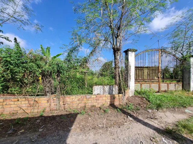 (L366) Bán Đất 2908m2 giá 3.9 tỷ tại Xã Trung Lập Hạ Huyện Củ Chi TP. Hồ Chí Minh