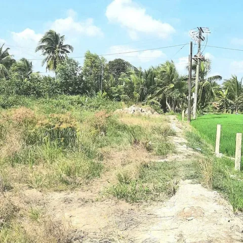 Bán Đất 2237.6m2 giá 2.6 tỷ tại Xã Phú Lộc Huyện Tam Bình Vĩnh Long