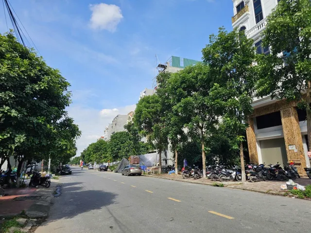 😅😅 Pán Lô đất NGUYỄN QUYỀN thuộc dự án ĐẠI HOÀNG LONG- TP Bắc Ninh. XÂY 7 TẦNG 
♦️DT 230 m2.
♦️MT 10 m
♦️Hướng TB