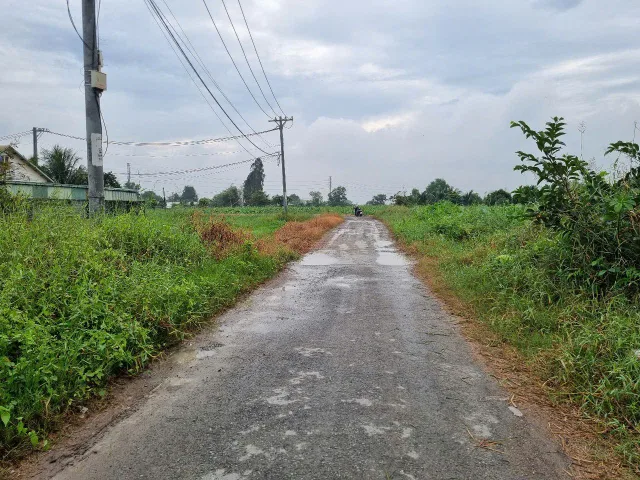 (L551) Đất 1/ Võ Văn Bích, xã Bình Mỹ, dt 116m2, giá 2 tỷ 170