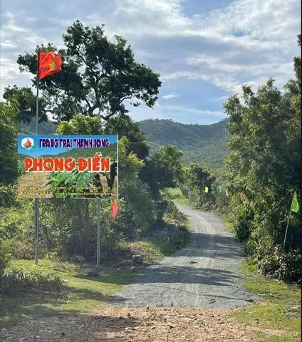 CHÍNH CHỦ CẦN TIỀN HẠ GIÁ BÁN TRANG TRẠI 17.7 Ha TẠI XÃ PHÚ LẠC, TUY PHONG, BÌNH THUẬN (Cũ)