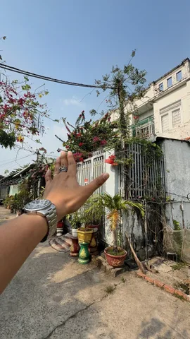 Bán Đất 137m2 có sẵn 95 m2 thổ cư giá 1.55 tỷ tại Đường số 97 Xã Tân Phú Trung Huyện Củ Chi TP. Hồ Chí Minh