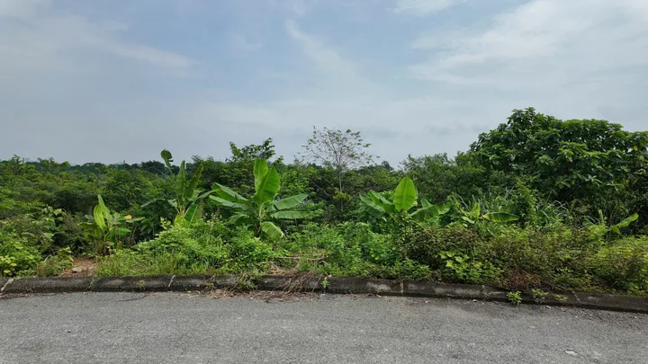 Bán Đất 300m2 có sẵn 300 m2 thổ cư giá 15 tỷ tại - Chọn - Xã Thạch Hoà Huyện Thạch Thất Hà Nội