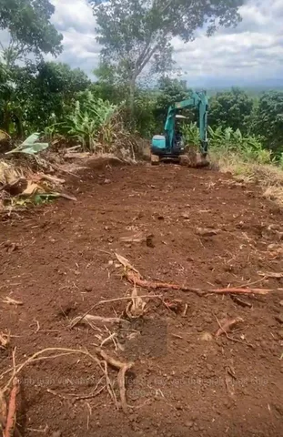 🏡 CẦN BÁN 1 HECTA ĐẤT ĐỎ TẠI THÔN 5 PHÚ XUÂN - ĐƯỜNG BÊ TÔNG TỚI VƯỜN CHỈ 2 TỶ