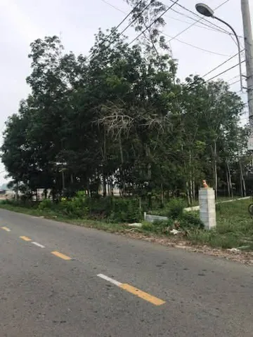 Bán Đất 1000m2 giá 6 tỷ tại - Chọn - Xã An Nhơn Tây Huyện Củ Chi TP. Hồ Chí Minh