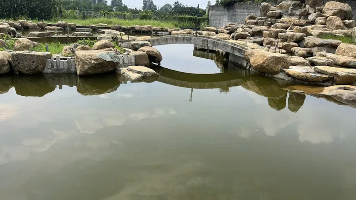 Bán khu vườn cây ăn trái sinh thái, mặt tiền đường Hương Lộ 15, xã Bình Lợi huyện Vĩnh Cửu tỉnh Đồng Nai