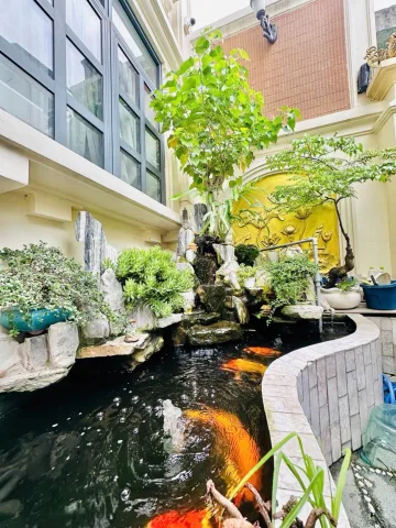 💎 BIỆT THỰ 5 TẦNG – GÒ DẦU GIAO TÂN SƠN NHÌ – HẺM NHỰA 9M — NGANG 9M – GARA Ô TÔ –