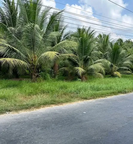BÁN 2430m2  MẶT TIỀN ĐẠI MONG CÓ SẴN 2200M2 THỔ CƯ, GIÁ 17.9 TỶ