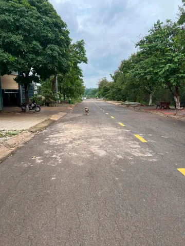Bán Đất mặt tiền đường Lý Nam Đế 100m2(5mx20m) thổ cư giá 1.7 tỷ tại Thị trấn Trảng Bom Huyện Trảng Bom Đồng Nai