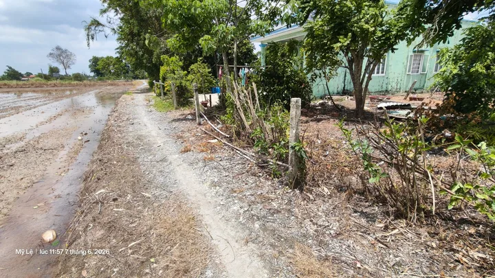 Bán Đất 249m2 có sẵn 249 m2 thổ cư giá 1.15 tỷ tại Đường Nguyễn Quang Đại Xã Mỹ Lệ Huyện Cần Đước Long An