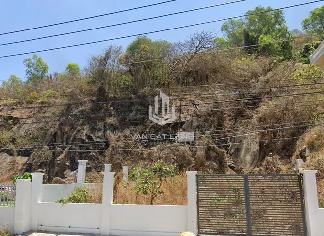💎 CHO THUÊ ĐẤT MT TRẦN PHÚ, P.5 – 1.479M² – 23×64M – VIEW BIỂN – 50 TRIỆU/THÁNG 💎