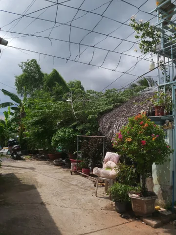 ĐẤT - GIÁ 2,65 TỶ- 1419 PHƯỚC KIỂNG LÊ VĂN LƯƠNG - DIỆN TÍCH ĐẤT 58,5M2 - LONG THỚI - NHÀ BÈ - TP.HCM.