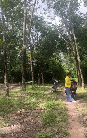 Bán Đất 10,650m2 có sẵn 400 m2 thổ cư giá 15 tỷ tại - Chọn - Xã Hưng Thuận Huyện Trảng Bàng Tây Ninh