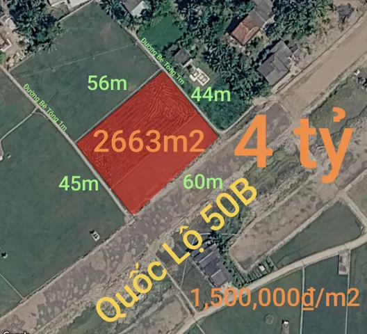 Bán Đất 2663m2 giá 4 tỷ tại Xã Đức Tân Huyện Tân Trụ Long An