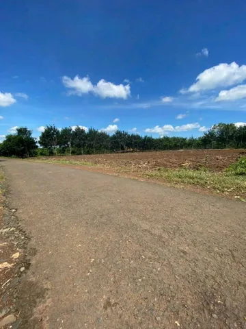 Bán Đất 1000m2 có sẵn 100 m2 thổ cư giá 490 triệu tại - Chọn - Xã Minh Lập Thị xã Chơn Thành Bình Phước