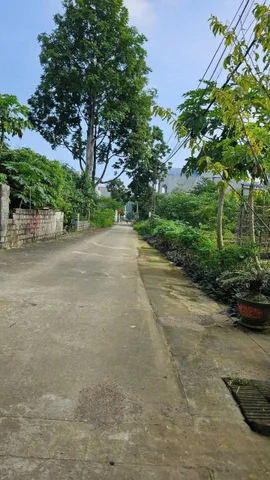 95m full thổ cư - lô 2 mặt tiền trước và sau - gần ĐH PCCC Xã Hòa Sơn Huyện Lương Sơn
