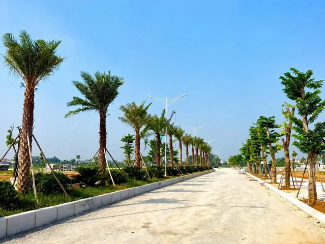 YÊN LẠC DRAGON CITY – CƠ HỘI ĐÓN ĐẦU TỪ ĐỢT RA HÀNG ĐẦU TIÊN!