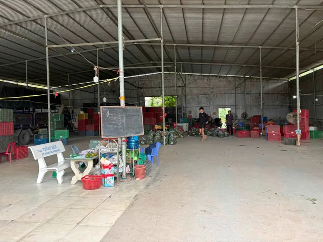 Cho thuê Kho, nhà xưởng 900m2 giá 20 triệu tại - Chọn - Thị trấn Long Hồ Huyện Long Hồ Vĩnh Long