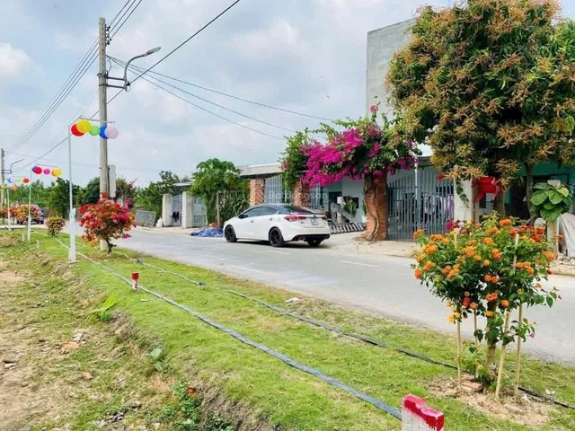 Bán Gấp Lô Đất Vườn Bưởi Thổ Cư Bàu Bàng - Sổ Sẵn, Ngân Hàng Hỗ Trợ 70%