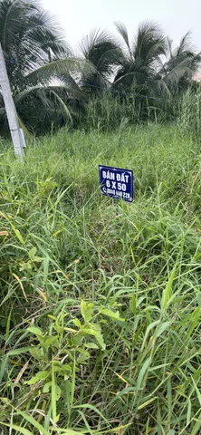 Bán Đất 300m2 giá 450 triệu tại - Chọn - Thị trấn Đầm Dơi Huyện Đầm Dơi Cà Mau