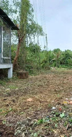 Bán Đất 103m2 có sẵn 100 m2 thổ cư giá 1.1 tỷ tại Xã Bình Khánh Huyện Cần Giờ TP. Hồ Chí Minh