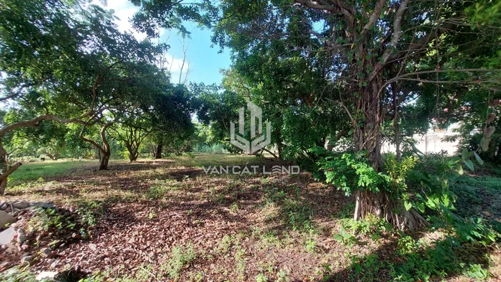 💎 CHO THUÊ ĐẤT MT 2/9 – HƠN 2.000M² – NGANG 53M – NGAY ĐẦU RA CAO TỐC – 50 TRIỆU/THÁNG 💎