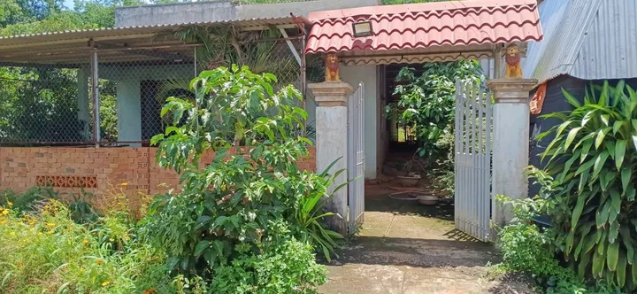 Bán Đất 550m2 tặng nhà giá 380 triệu tại - Chọn - Xã Tân Quan Huyện Hớn Quản Bình Phước