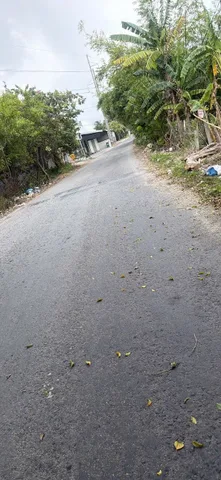 (79)Bán Đất 674m2 giá 2.7 tỷ tại - Chọn - Xã Thanh Tân Huyện Mỏ Cày Bắc Bến Tre