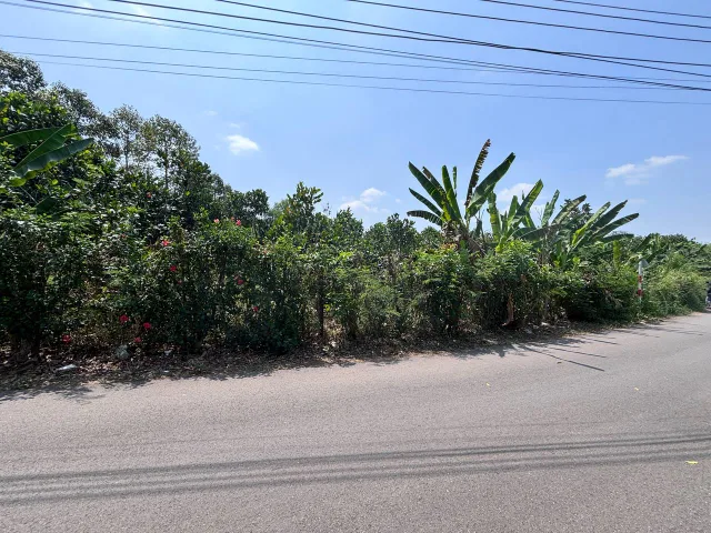 Bán Đất 100m2 có sẵn 100 m2 thổ cư giá 200 triệu tại - Chọn - Xã Long Phước Huyện Long Thành Đồng Nai