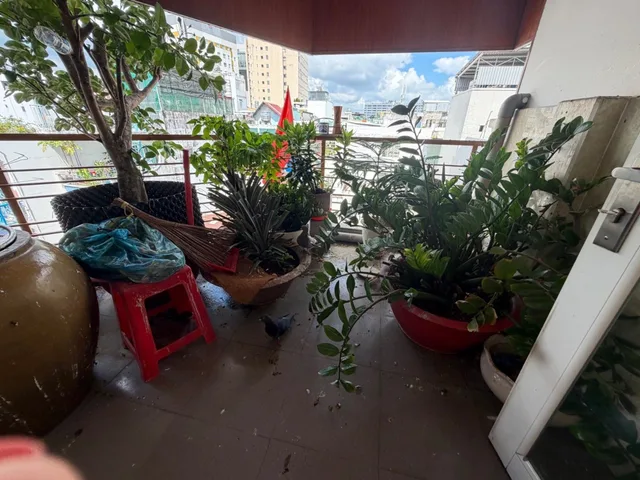 Bán Nhà riêng 73m2 có sẵn 73 m2 thổ cư giá 12.5 tỷ tại Đường Nguyễn Trãi Phường 05 Quận 5 TP. Hồ Chí Minh