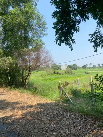 (S813) Đất 1/ Trung An, xã Trung An, dt 1.289m2 , giá 1 tỷ 600