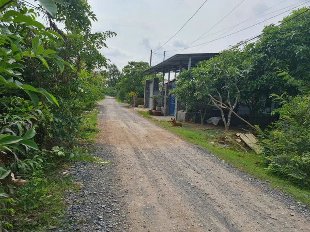 BDS HVL CHO THUÊ 1HA ĐẤT – KHU LÀNG ĐẠI HỌC LONG PHƯỚC, QUẬN 9