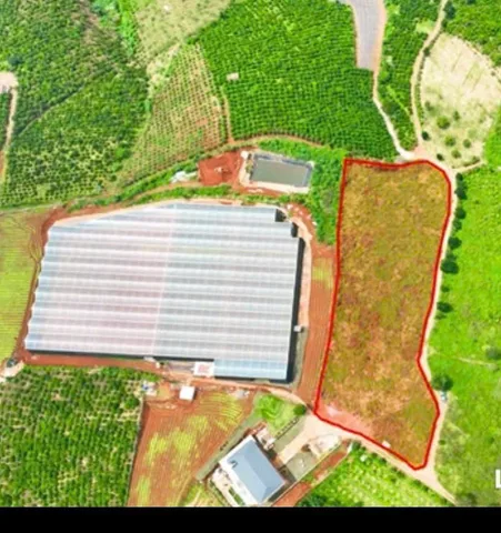 Cần Bán Đất Tà Hine - Đức Trọng - Lâm Đồng view đẹp hồ Đại Ninh