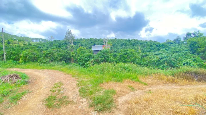 Hẻm ql20 - hiệp thuận, ninh gia, lâm đồng - gần trạm dừng chân lê sáng