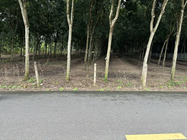 Bán Đất 2200m2 có sẵn 100 m2 thổ cư giá 1.95 tỷ tại đường Trừ Văn Thố Huyện Bàu Bàng Bình Dương.