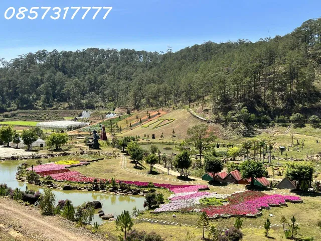 🌿🏞 CƠ HỘI VÀNG – HỢP TÁC -  DỰ ÁN KHU DU LỊCH CANH NÔNG TẠI PHƯỜNG LANGBIANG- ĐÀ LẠT, LÂM ĐỒNG 🏞🌿