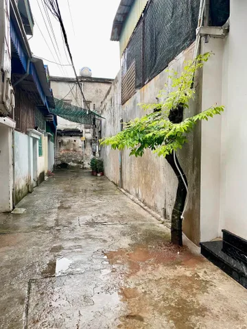 Bán Đất 41.5m2 có sẵn 41.5 m2 thổ cư giá 2.45 tỷ tại Số nhà 3c /26 trần quang khải Phường Trần Quang Khải Thành phố Nam Định Nam Định