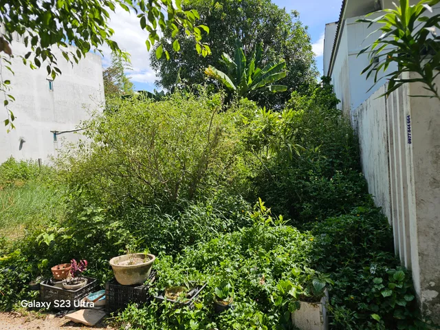 Bán Đất 85m2 có sẵn 85 m2 thổ cư giá 4.3 tỷ tại Phường Cẩm Châu Thành phố Hội An Quảng Nam