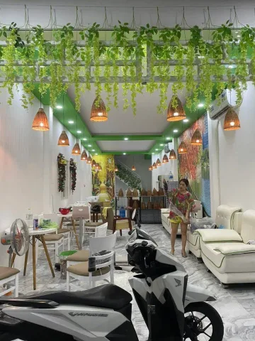 Mặt tiền Gò Dầu Tân Phú 88m2 VIP, 2 phút Aeon Mall, sẵn dòng tiền 20tr