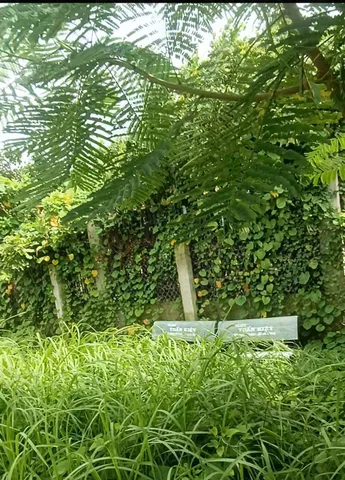 Bán Đất 533m2 giá 3 tỷ tại Xã Quy Đức Huyện Bình Chánh TP. Hồ Chí Minh