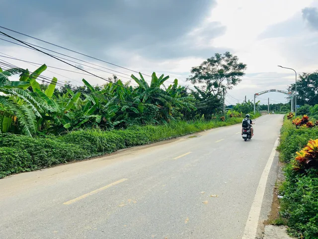 3 lô full thổ cư 70m và 77m - cách trục chính chỉ 20m - tại Xã Nhuận Trạch Huyện Lương Sơn