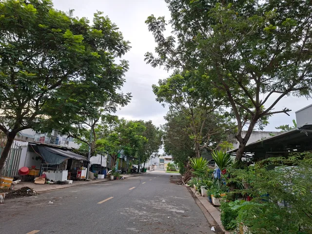 Bán đất thổ cư đường 17m khu dân cư Nam Sài Gòn Long Hậu