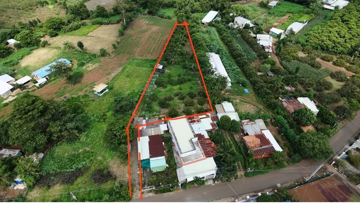 Bán vườn sầu riêng gần chợ Xuyên Mộc chỉ 2.6 tỷ / 2600m2 có 50 thổ cư