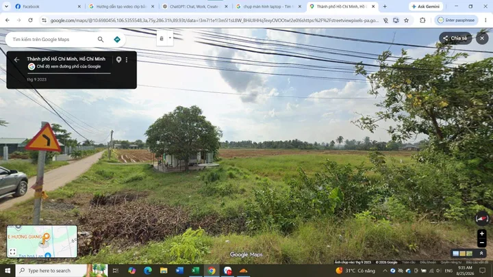 Bán Đất 12000m2 giá 42 tỷ tại Đường Lương Ngang Xã Tân Nhựt Huyện Bình Chánh TP. Hồ Chí Minh