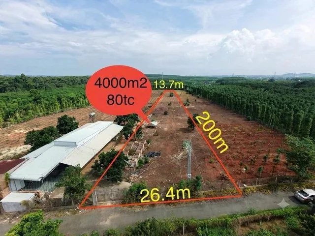 Bán Đất 4025m2 có sẵn 90 m2 thổ cư giá 2.45 tỷ tại Xã Hòa Hội Huyện Xuyên Mộc Bà Rịa - Vũng Tàu